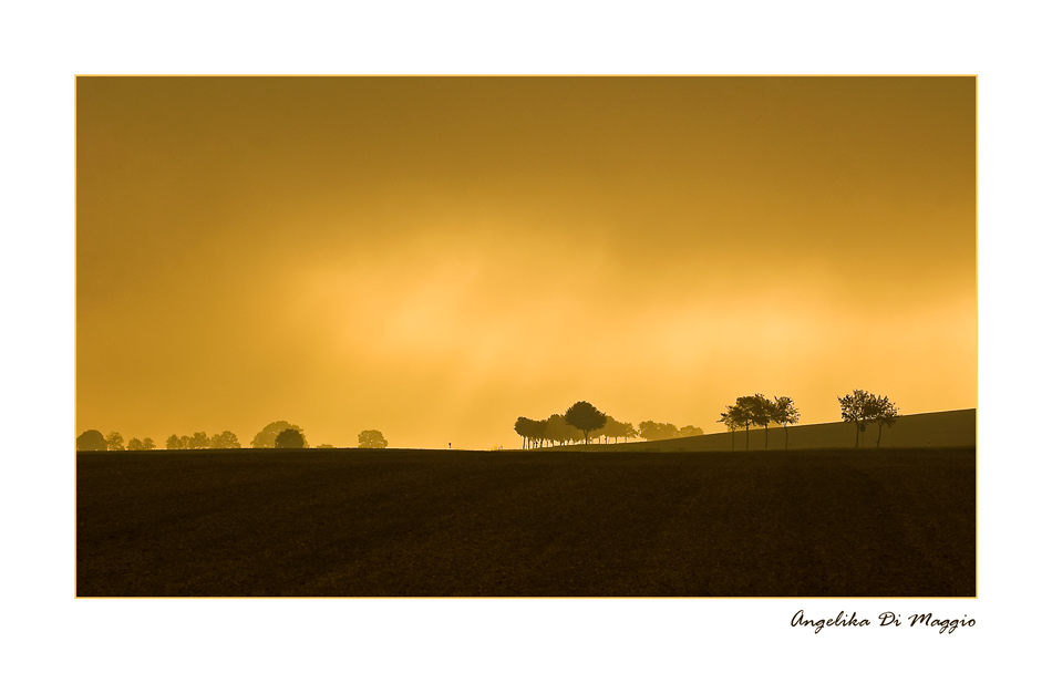 Landschaft im Frühdunst