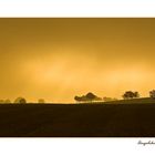 Landschaft im Frühdunst