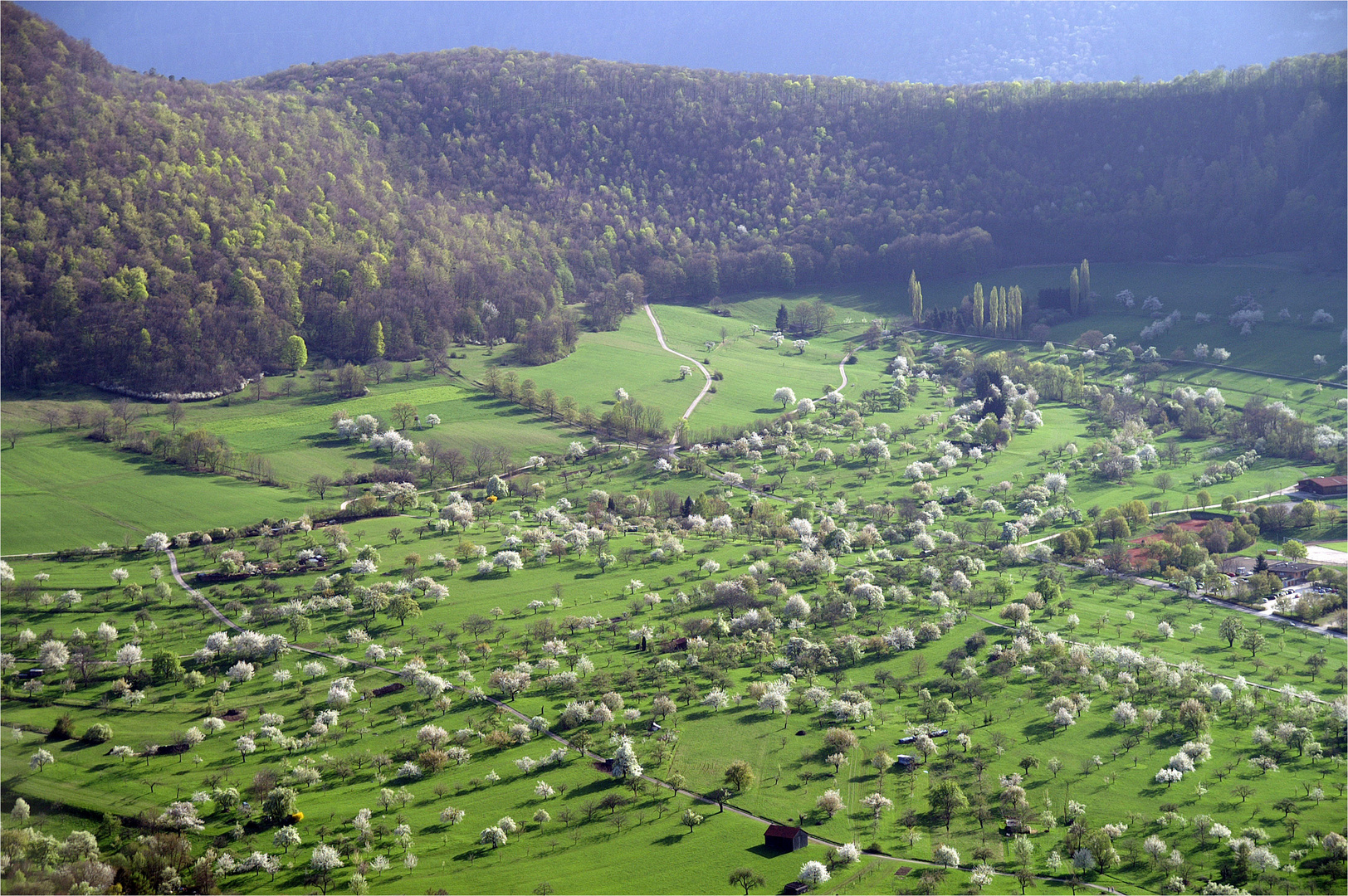 Landschaft im Frühling