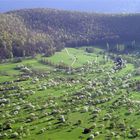 Landschaft im Frühling