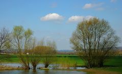 Landschaft im Frühling