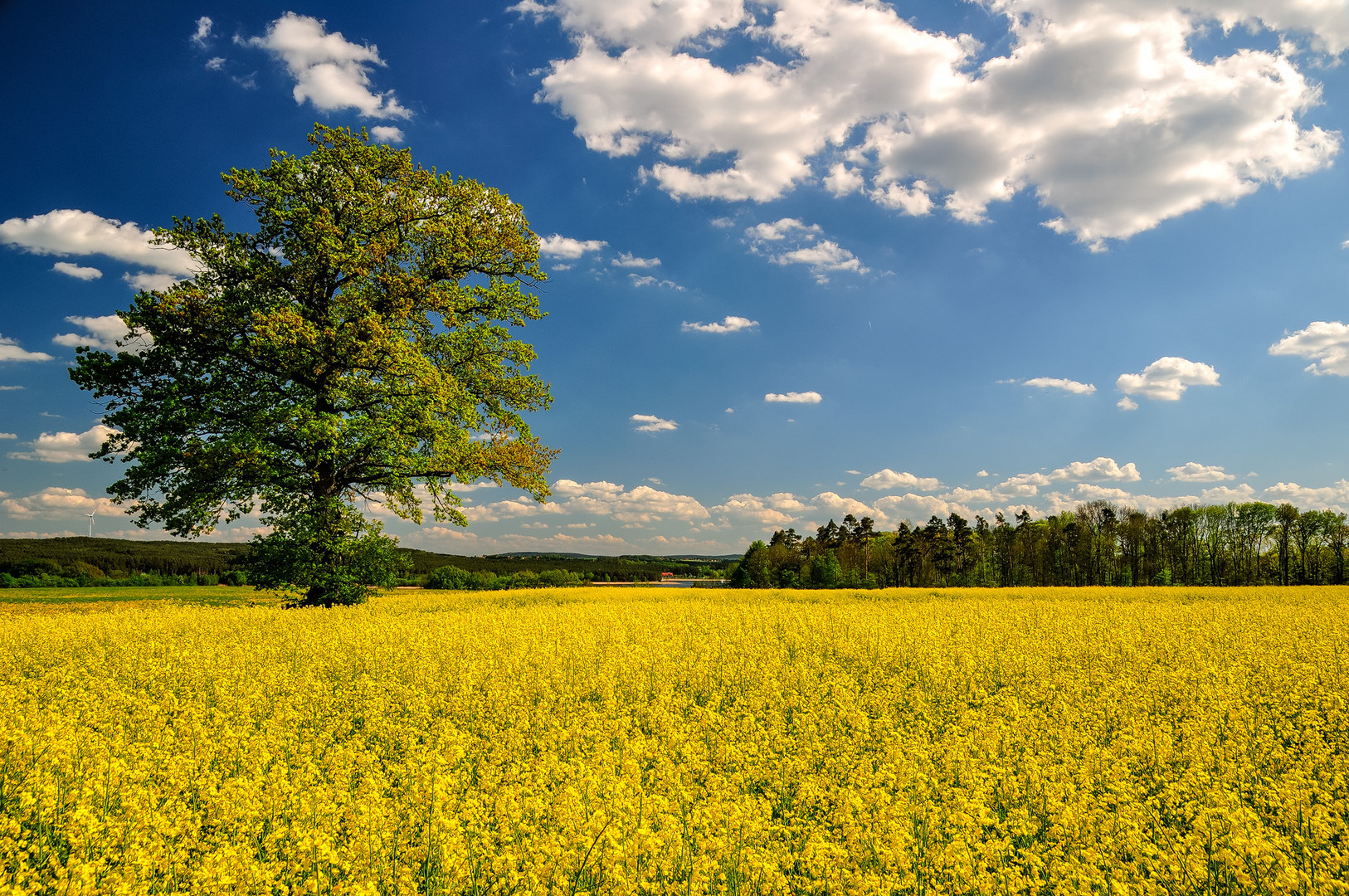 Landschaft im Frühling