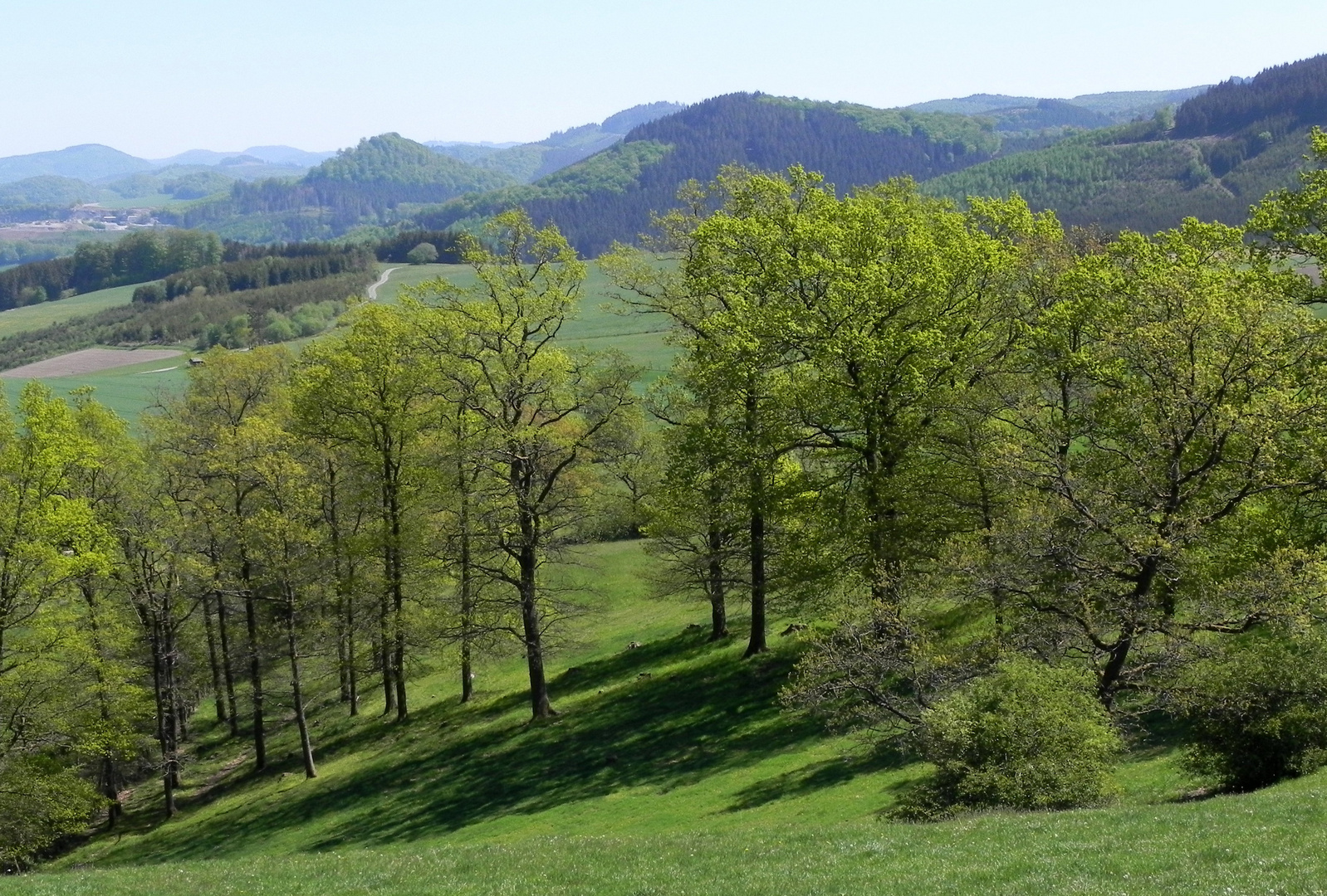 Landschaft im Frühling