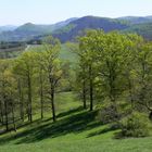 Landschaft im Frühling