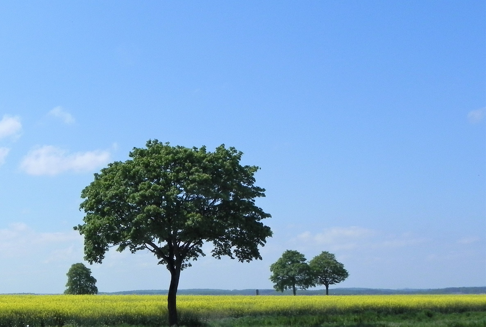 Landschaft im Frühling