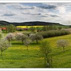 Landschaft im Frühling während der Apfelblüte