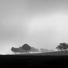 Landschaft im Frühnebel