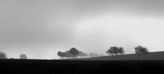 Landschaft im Frühnebel