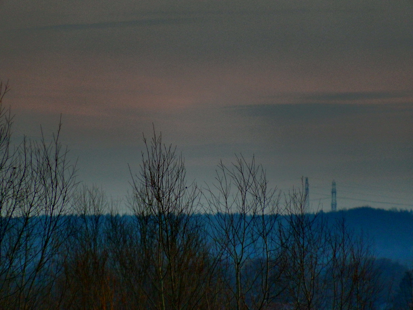 Landschaft im Frühneberl