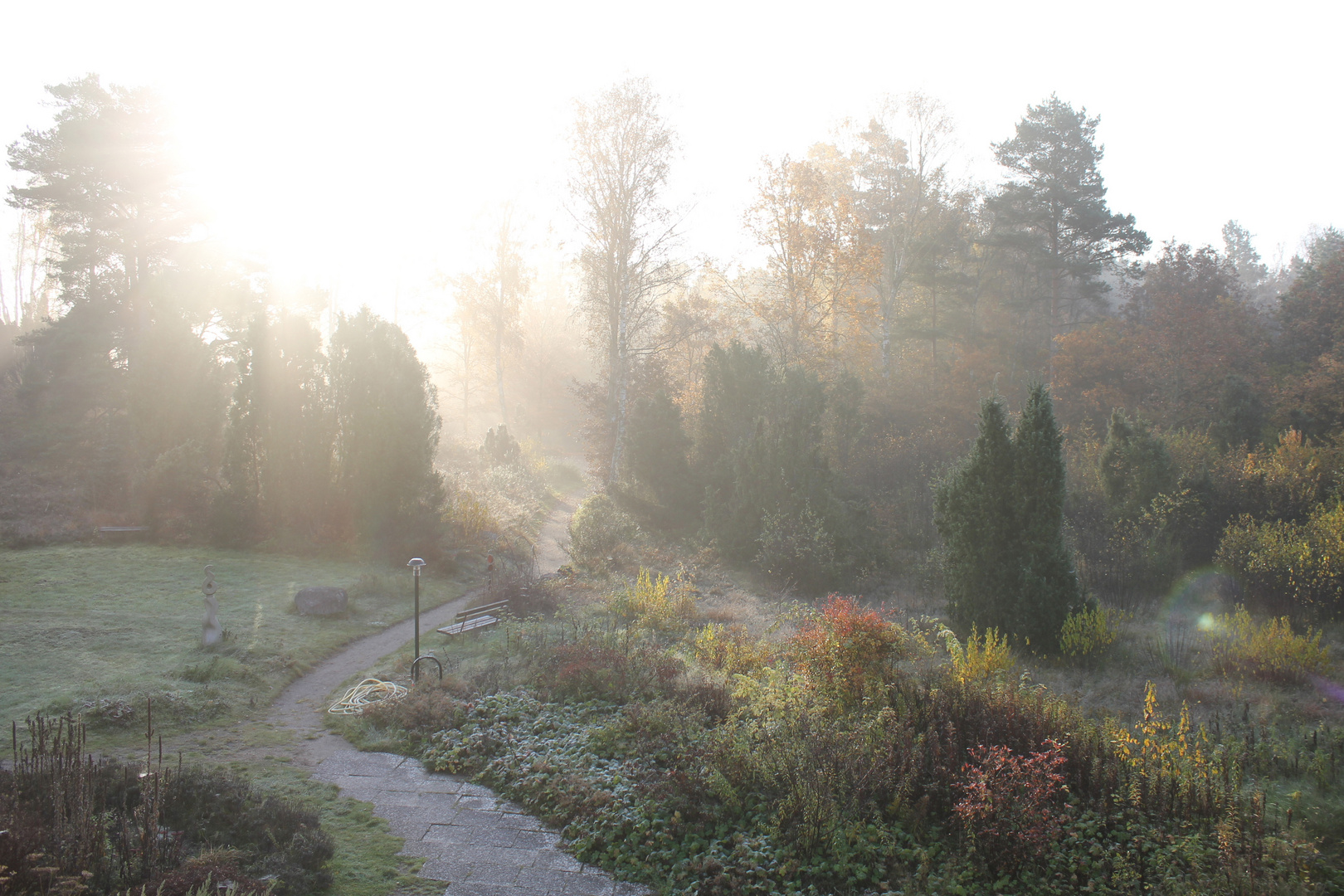 Landschaft im Gegenlicht