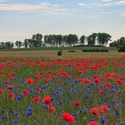 Landschaft im Havelland