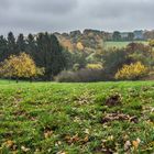 Landschaft im Herbst (2)