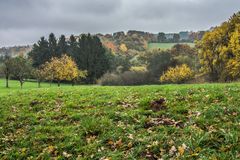 Landschaft im Herbst (2)