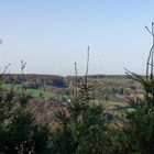  Landschaft im Herbst 