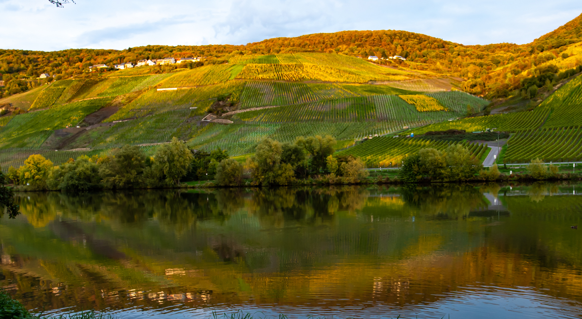 Landschaft im Herbst 3 1233