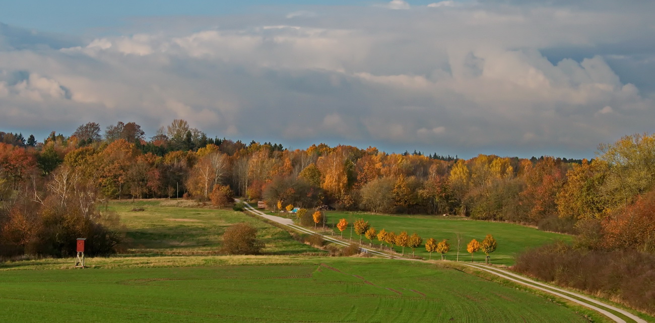 Landschaft im Herbst