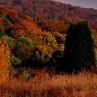 ...Landschaft im Herbst...