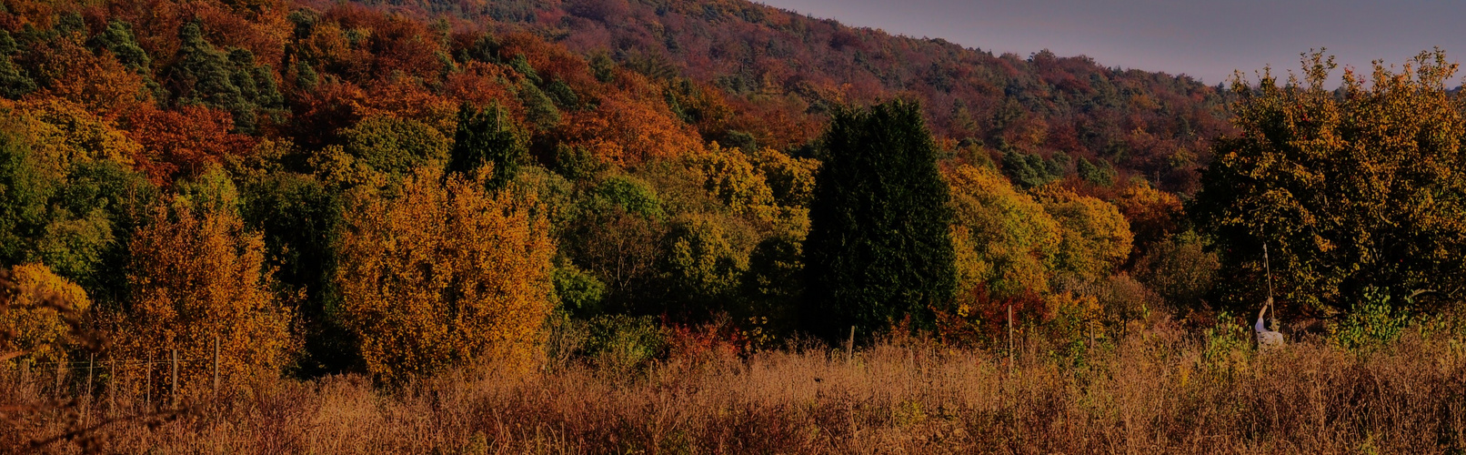 ...Landschaft im Herbst...