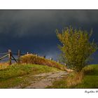 Landschaft im Herbst