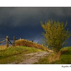 Landschaft im Herbst