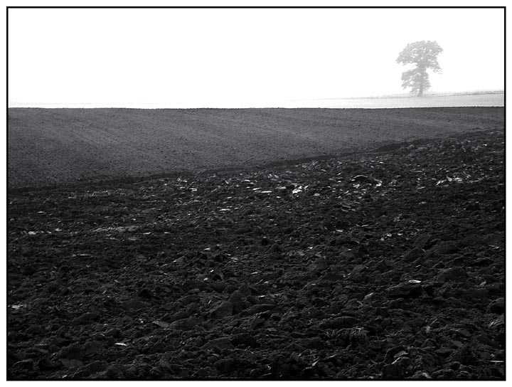 - Landschaft im Herbst -