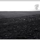 - Landschaft im Herbst -