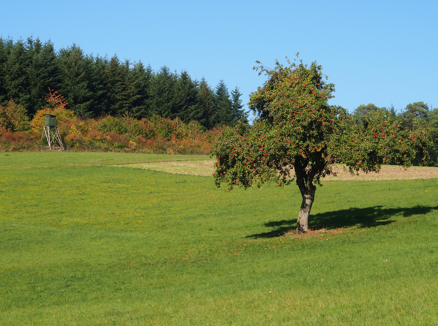 Landschaft im Herbst