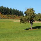 Landschaft im Herbst