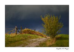 Landschaft im Herbst