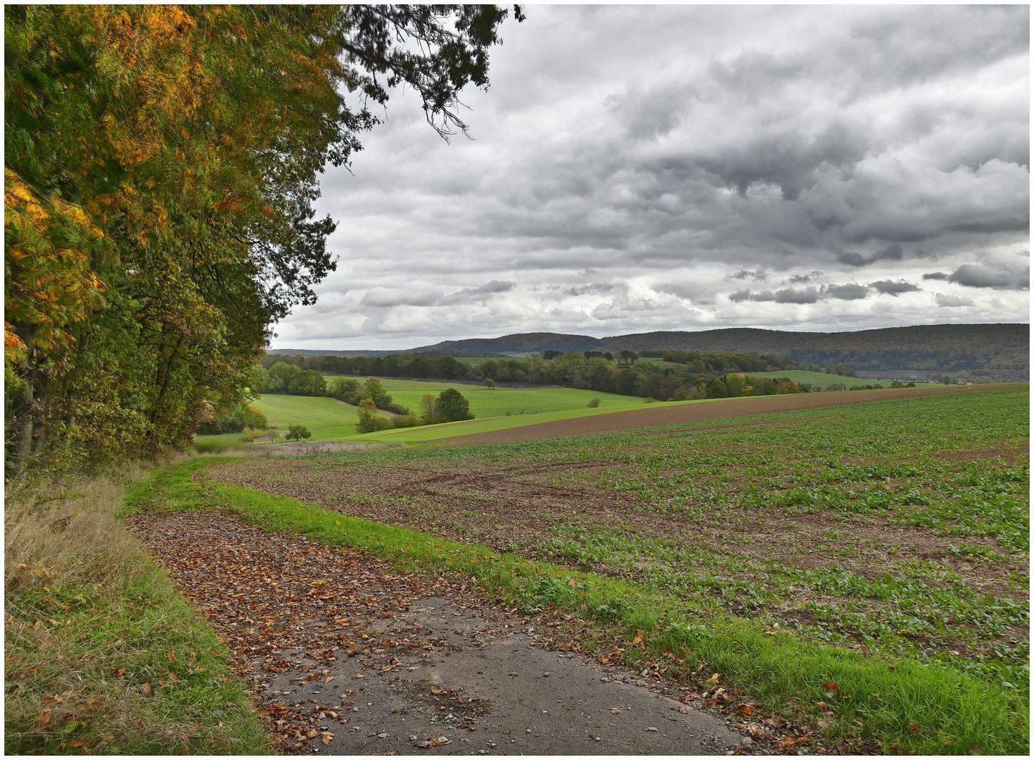 Landschaft im Herbst !