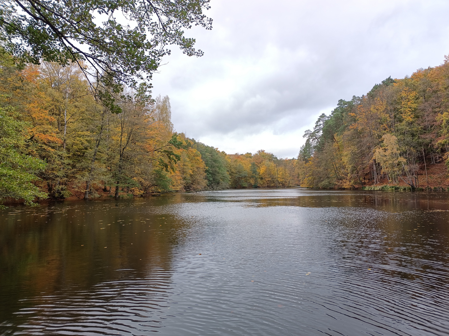 Landschaft im Herbst