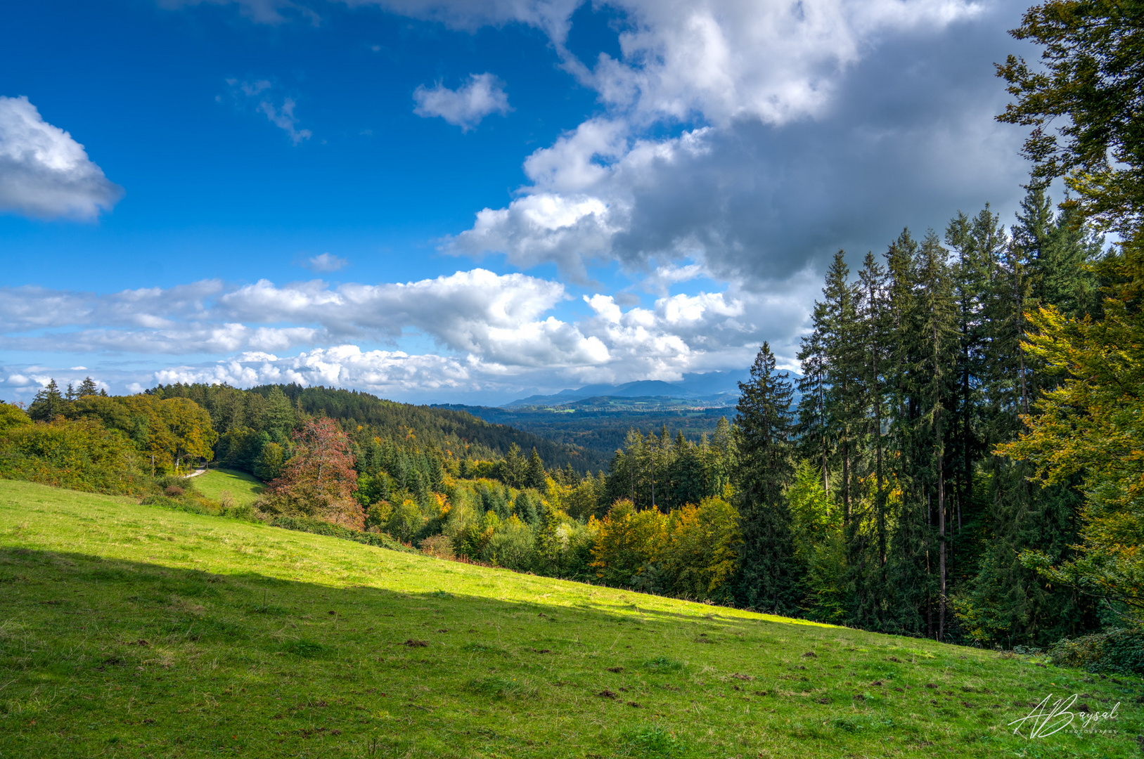 Landschaft im Herbst