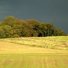 Landschaft im Herbstlicht