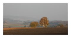 Landschaft im Herbstlicht