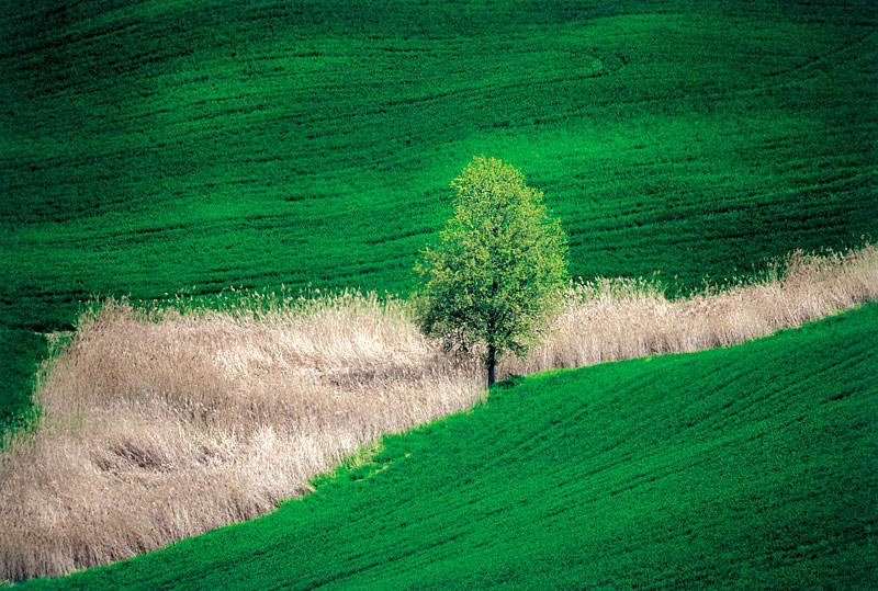 Landschaft im Herzen derToscana