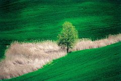 Landschaft im Herzen derToscana