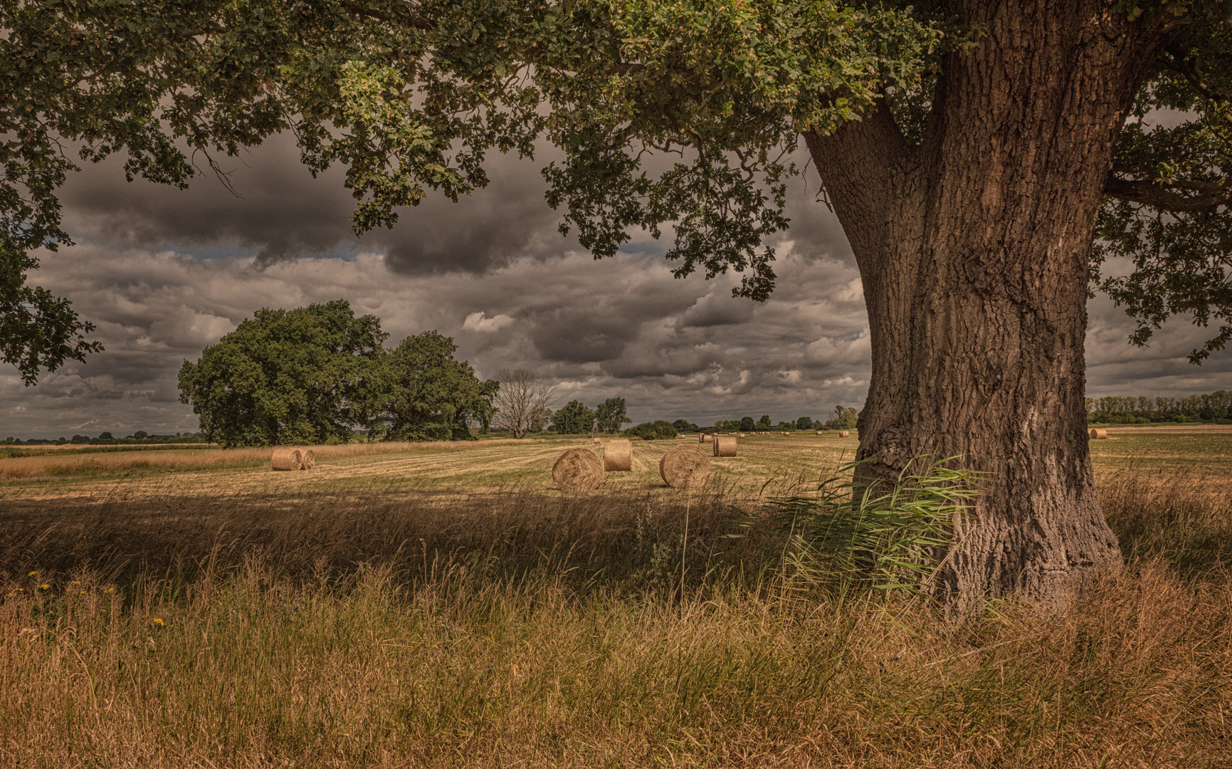 Landschaft im Hochsommer