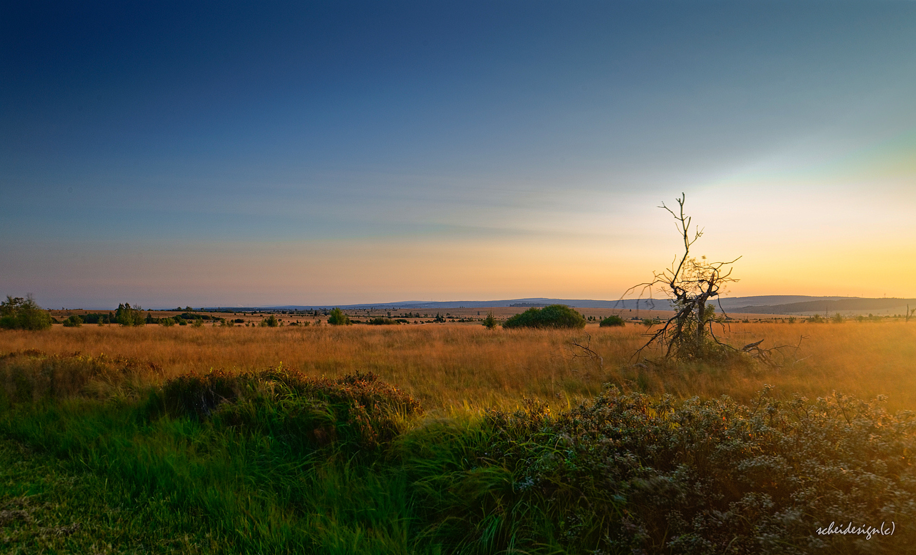 Landschaft im Hohen Venn I