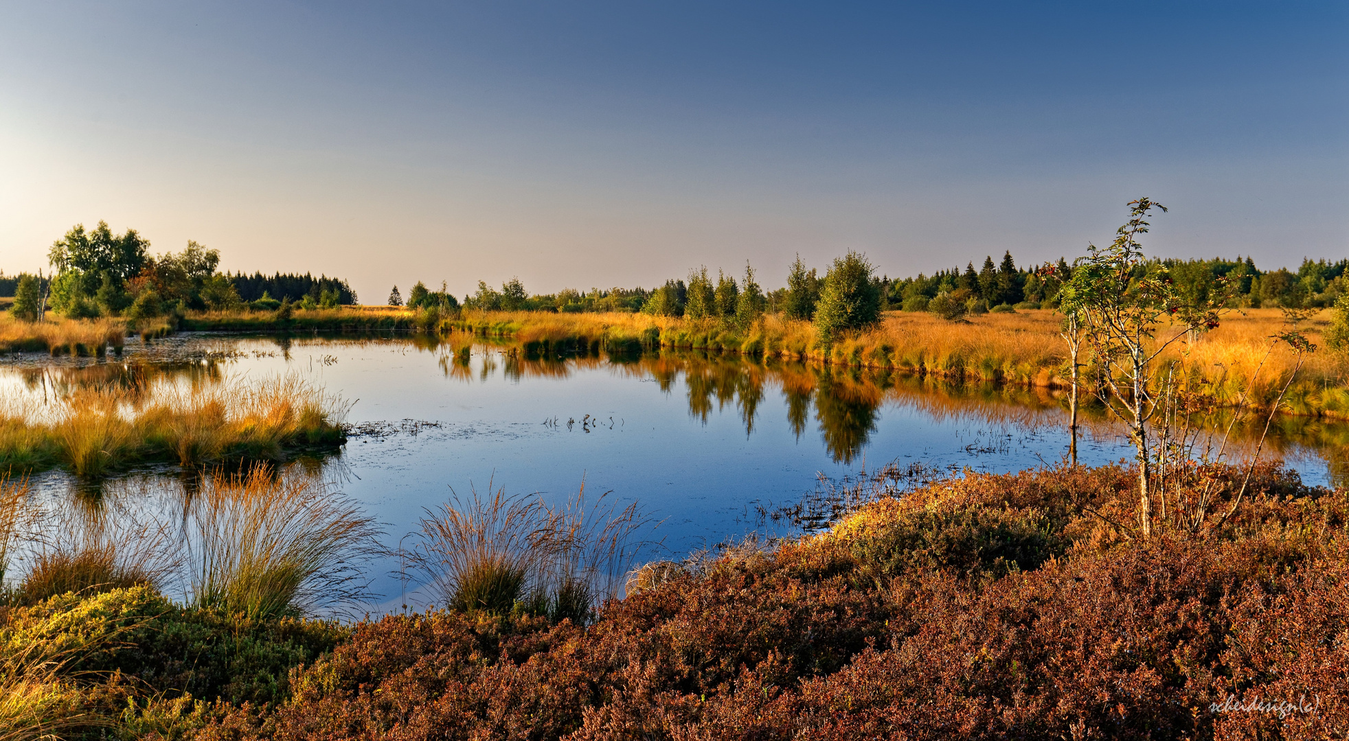 Landschaft im Hohen Venn II