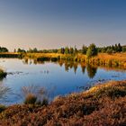 Landschaft im Hohen Venn II