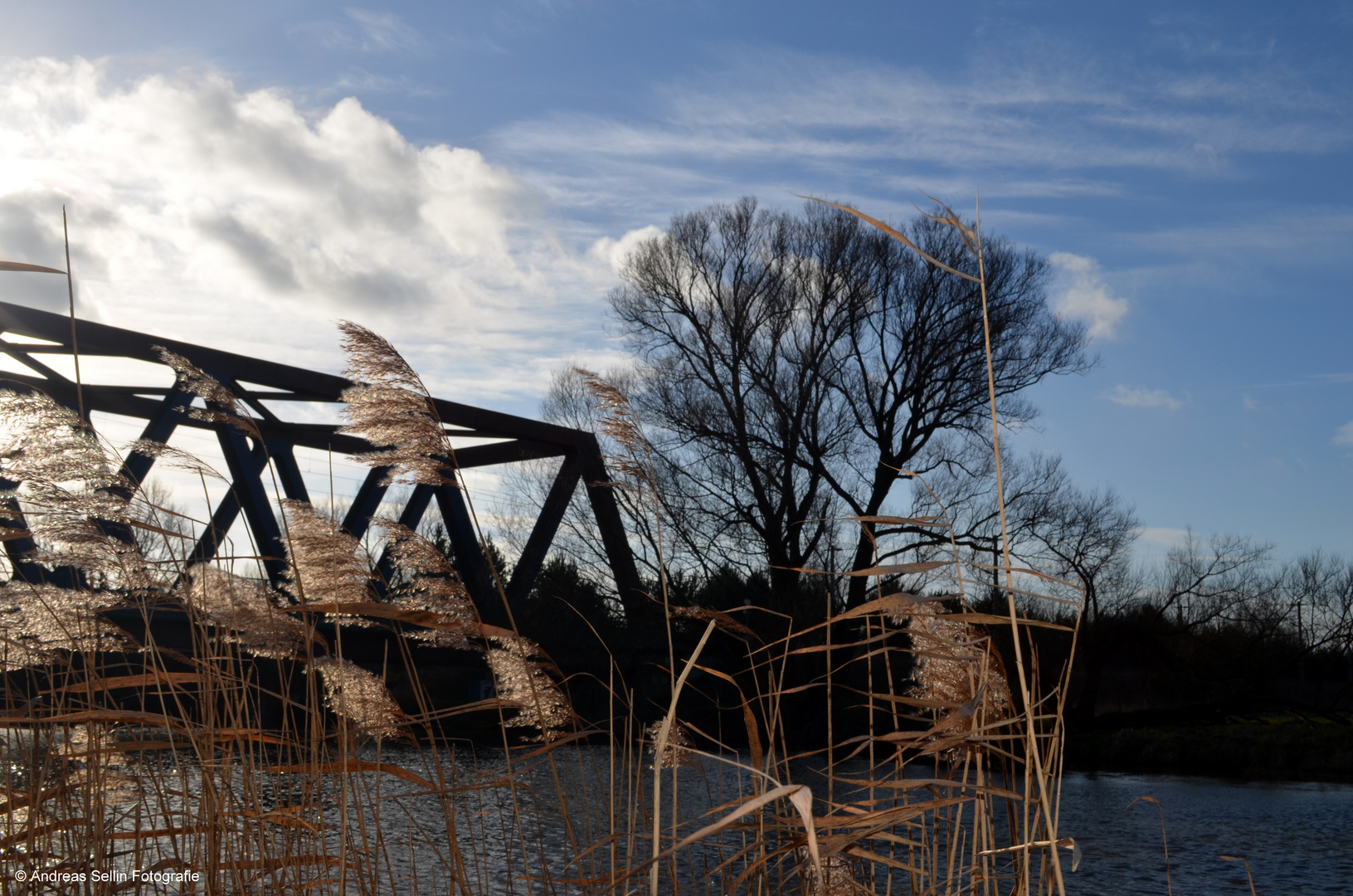 Landschaft im Januar 2014, kein Schnee und super Wetter