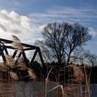 Landschaft im Januar 2014, kein Schnee und super Wetter