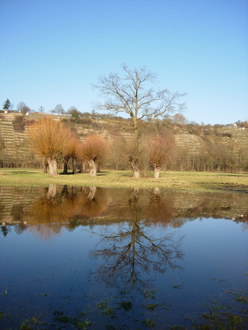 Landschaft im Januar