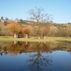 Landschaft im Januar