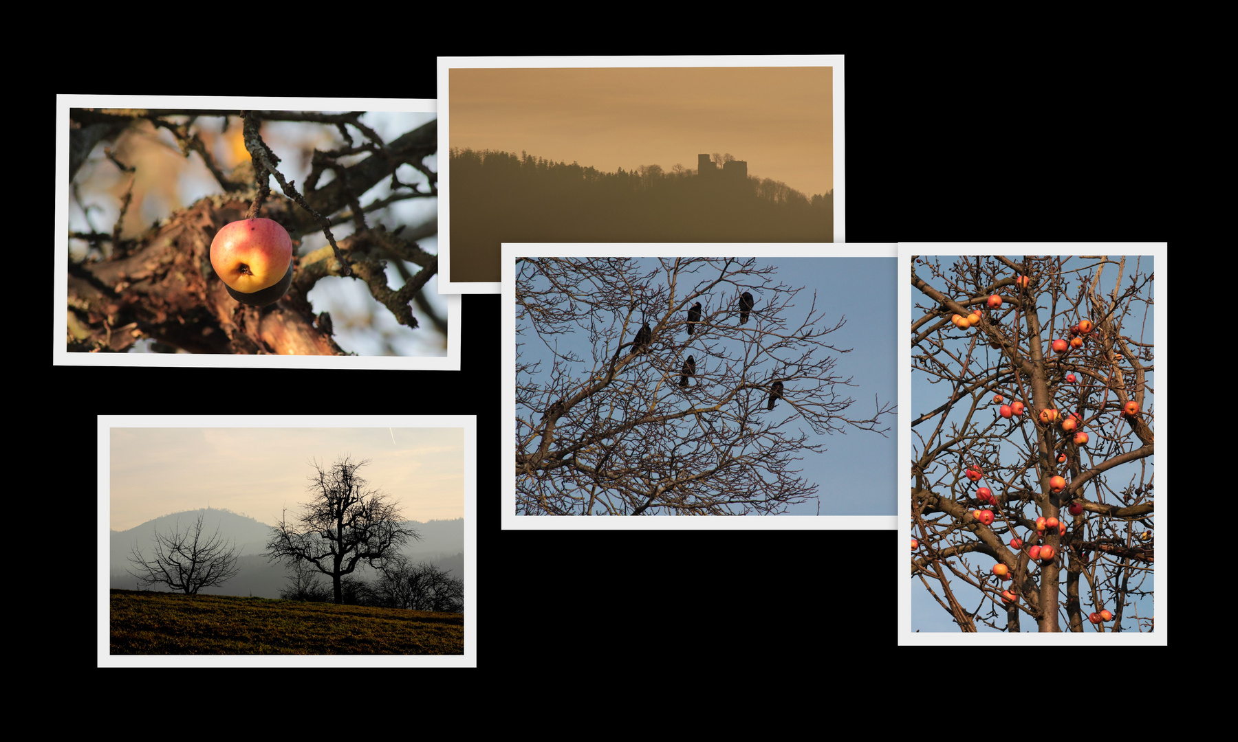 Landschaft im Januar