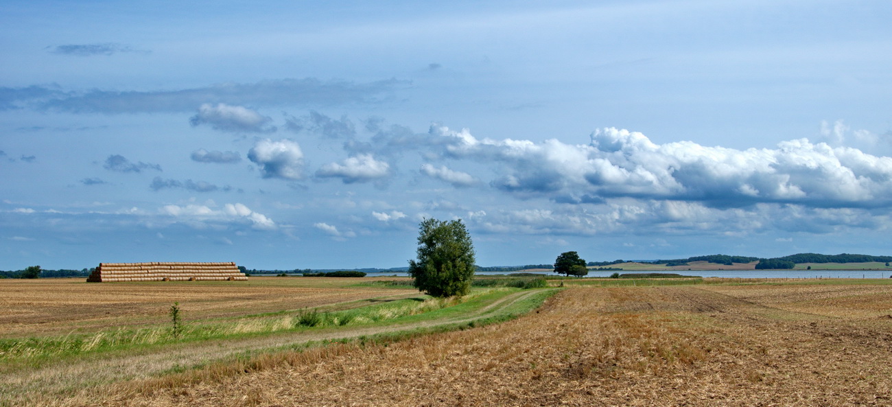 Landschaft im Juli