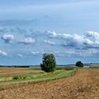 Landschaft im Juli