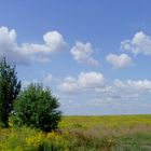 Landschaft im Juni