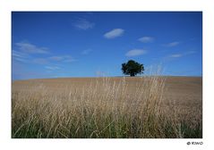 Landschaft im Kraichgau.......