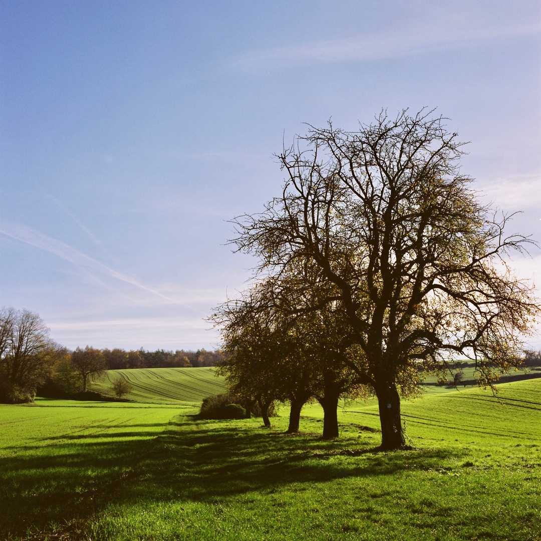 Landschaft im Kraichgau bei Weingarten